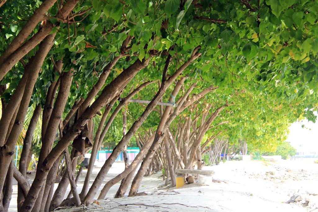 Rip Tide Vacation Inn, K.Guraidhoo Guraidhoo  Bagian luar foto