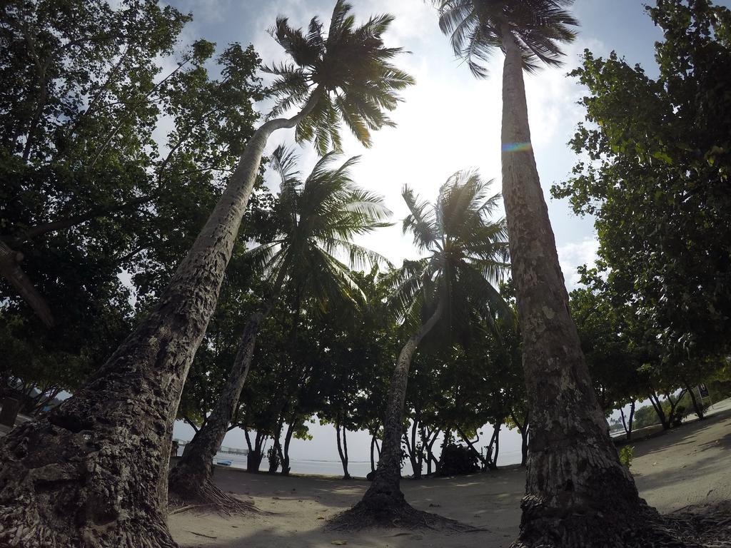 Rip Tide Vacation Inn, K.Guraidhoo Guraidhoo  Bagian luar foto