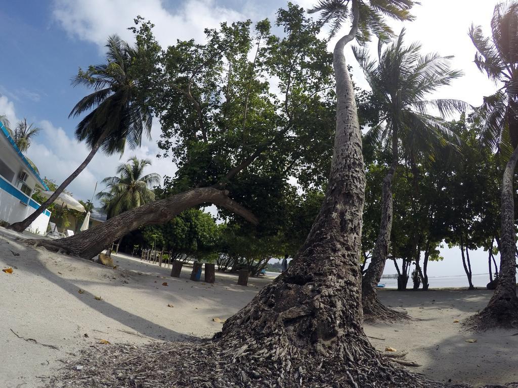Rip Tide Vacation Inn, K.Guraidhoo Guraidhoo  Bagian luar foto