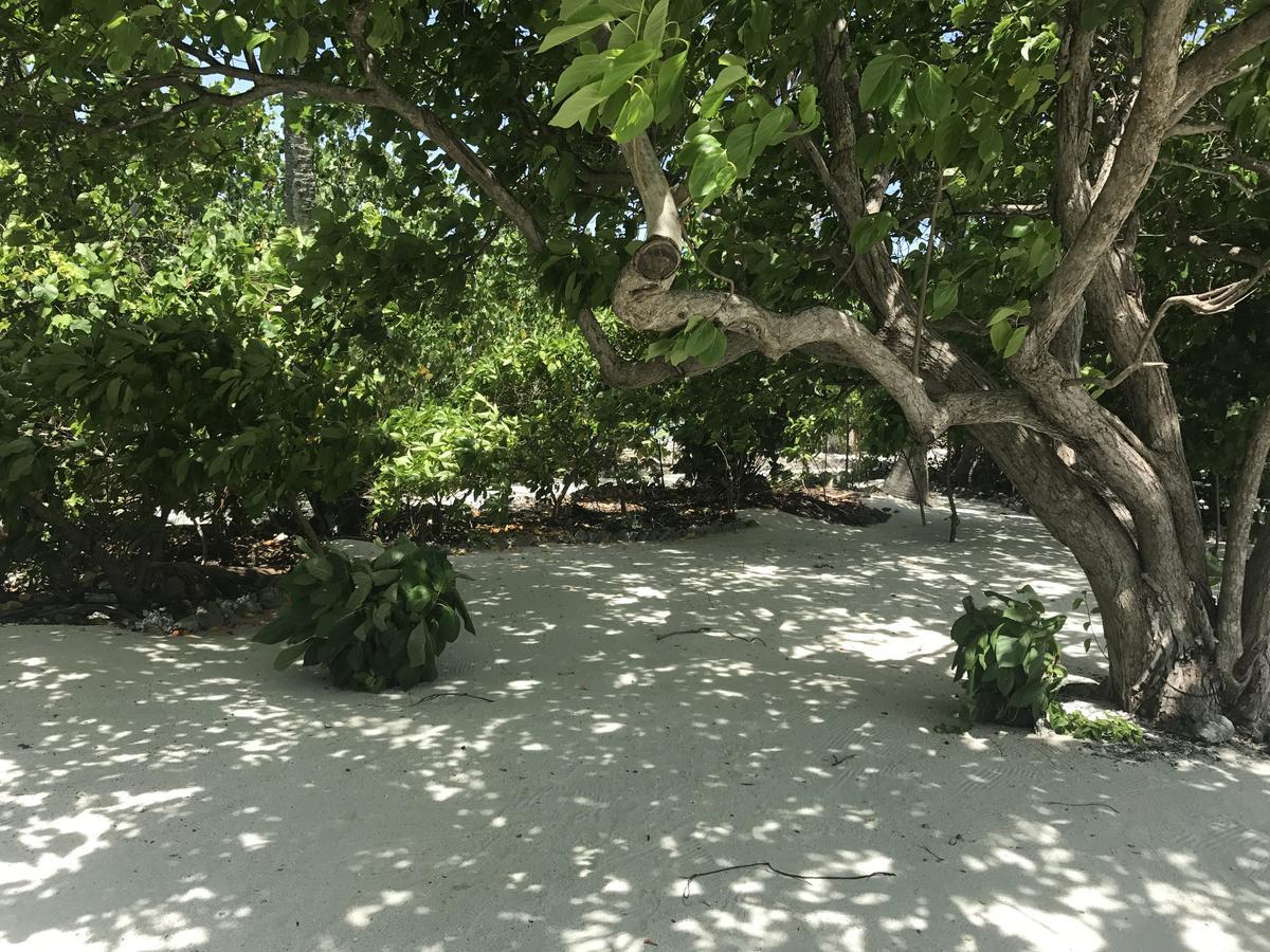 Rip Tide Vacation Inn, K.Guraidhoo Guraidhoo  Bagian luar foto